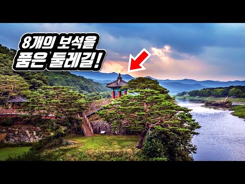 Riverside Trail Along the 100-Year-Old Pine Forest in Korea