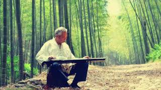 广陵派琴家林友仁演奏古琴名曲《渔樵问答》 Guqin Expert Lin Youren Plays "Dialogue of Fisherman and Woodcutter"