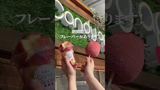 【宮城】流行りのりんご飴︎【代官山 Candy apple 仙台店】