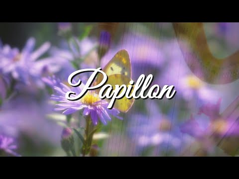 Secret Garden - Papillon - Relaxing Harp Cover