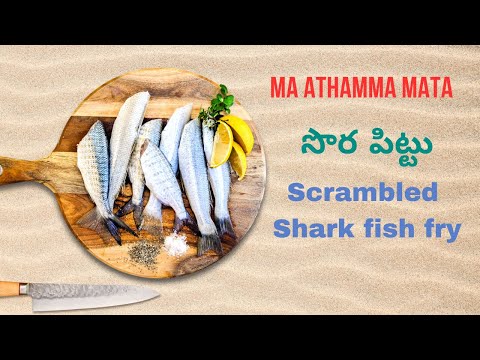 సొర పిట్టు | Sora chepa pidupu | Shark Fish Fry 🦈