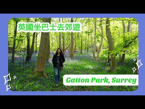 英國生活篇 ： 英國坐巴士去郊遊 Gatton Park, Surrey