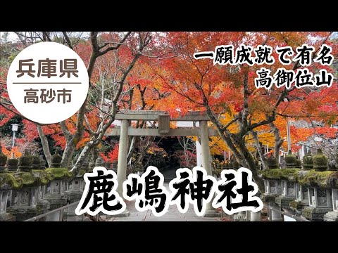 ⛩️鹿嶋神社 一願成就で有名 紅葉🍁 2024.12.11