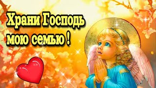 🙏Храни, господь, мою семью!🙏Я молюсь за Вас!💓Желаю мира и добра!🌞Доброго   утра благословенного дня!