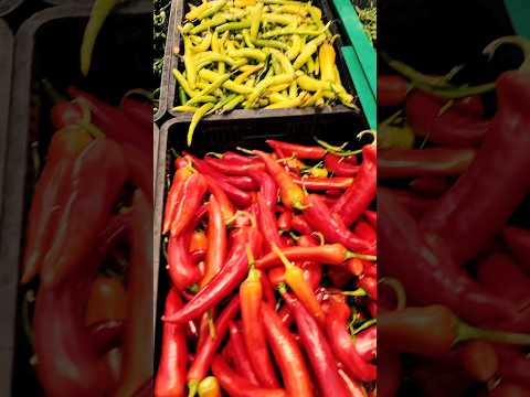 Different Types of Chilies