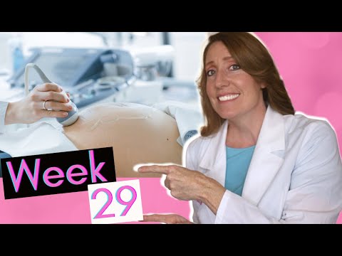 29 Weeks in Months | What to Expect at Week 29.