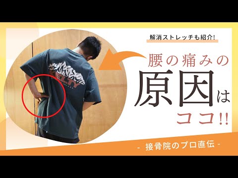 【腰痛〜側屈したときの痛み〜】体を横に倒したとき、体を横に傾けて体勢を変えようとしたとき痛みが走る場合のストレッチ！｜,接骨院のプロが教えるお家セルフケア｜テラピスト接骨院