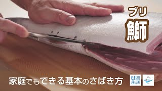 鰤（ぶり）のさばき方 - How to filet Amberjack -｜日本さばけるプロジェクト（海と日本プロジェクト）