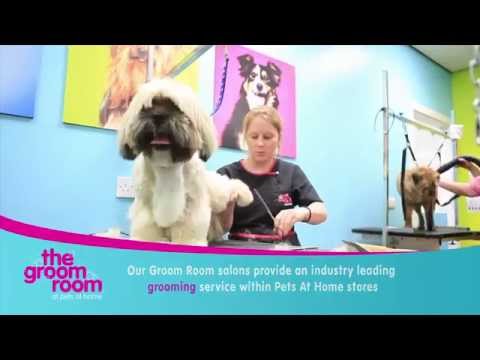 The Groom Room at Pets at Home