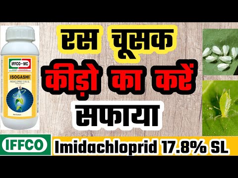 Imidachloprid 17.8% SL ka Aise Karte Hai Use | IFFCO Isogashi Insecticide