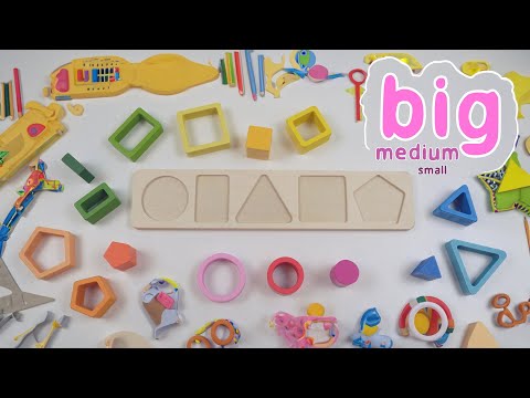 Learn Shapes and Sizes for Kids | Identify Big, Medium, and Small Objects