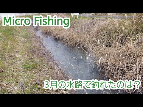 【Micro Fishing】まだまだ寒い３月　久しぶりの釣行で釣れたのは？