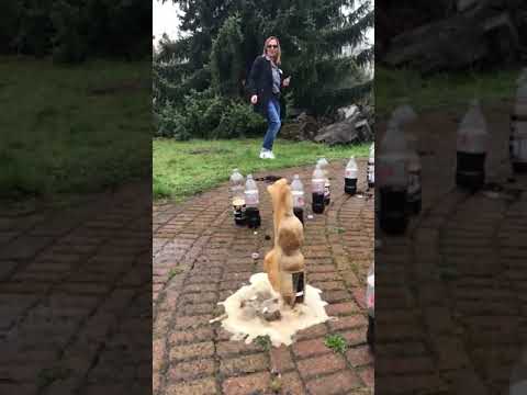 Girlsday bei KNAUER - Cola Mentos 3