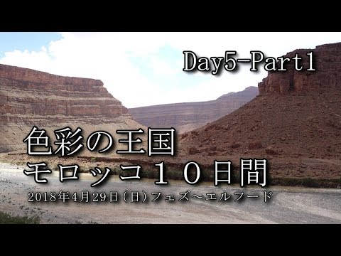 【モロッコ旅行 Day5-Part1】フェズ～エルフード