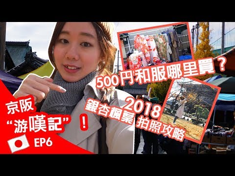 Kyoto VLOG #6 | Toji Temple Morning Market | TRAVEL VLOG