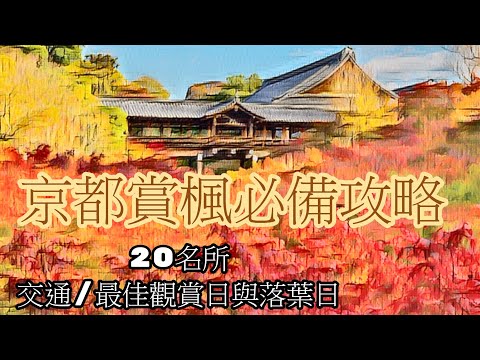 京都 賞楓必備交通與日期攻略 / 20大名所最佳賞楓日與落葉日預測 / 日本自由行16