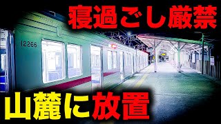 【野宿確定】寝過ごすと山の麓へ連行されてしまう恐怖の終電を乗り通してみた｜終電で終点に行ってみた#68