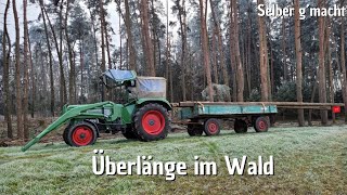 Fendt Farmer with extra length | Forestry chains on the trailer