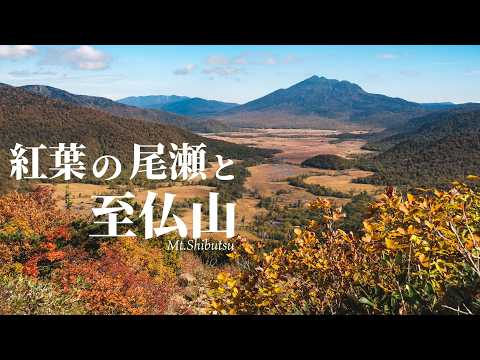 【紅葉登山】尾瀬ヶ原と至仏山を日帰りで満喫してきました