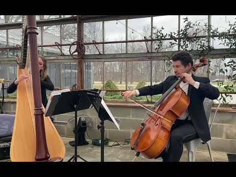 Prelude from Final Fantasy - cello and harp ~ Tiffany Jones, harpist