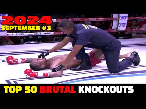 Top 50 Brutal Knockouts September 2024 #3 (MMA•Muay Thai•Kickboxing•Kun Khmer)