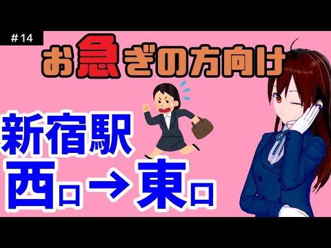 【駅攻略・案内】新宿駅西口から東口方面へ3倍速案内プロムナード経由【新宿駅】