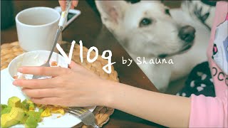 Vlog 04 Beautiful Moments of life | Healthy Breakfast | Maeun Galbi Jjim