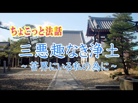 ちょこっと法話「三悪趣なき浄土～苦界にいる私の為に～」