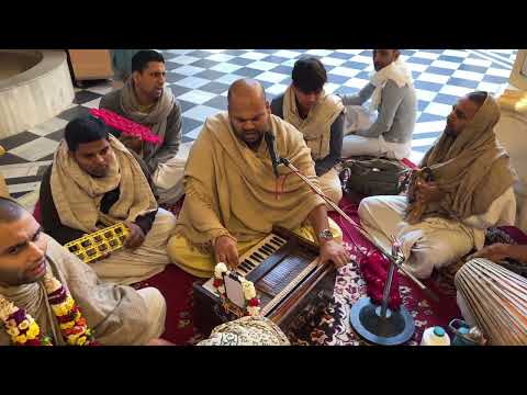 Kichri seva early in the morning and a beautiful kirtan in the temple!