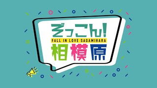 ぞっこん！相模原　2022年3月放送分　総集編