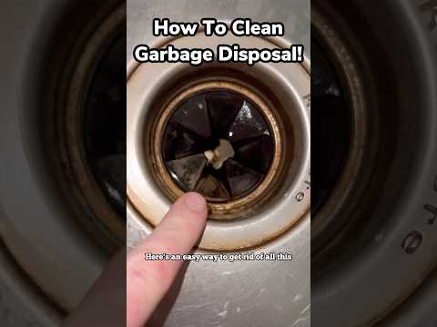 Garbage Disposal Cleaning | Try This!! #garbagedisposal #cleaning