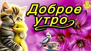 💗☕️Доброе Утро! Хорошего Дня!🌹Для Друзей! Заряд Позитива на Весь День!💞