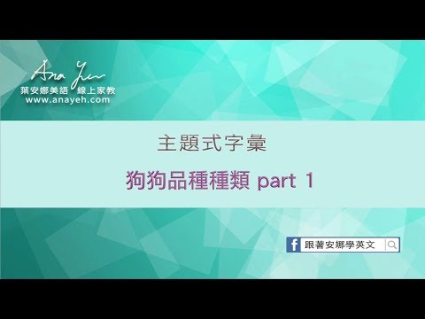 主題式字彙教學 狗狗品種種類part 1