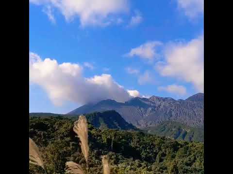 the closest I can get to the crater of #sakurajima #japan #travel #eruption #kagoshima #shorts