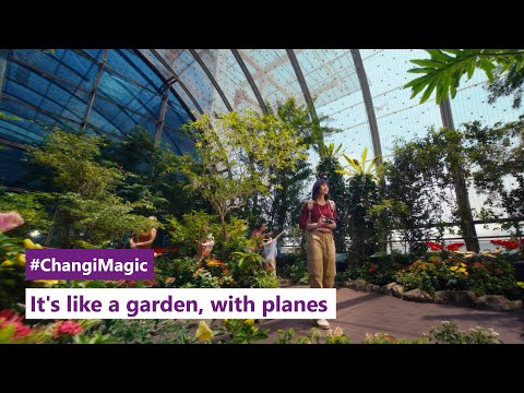 It's like a garden, with planes – that's Changi Airport