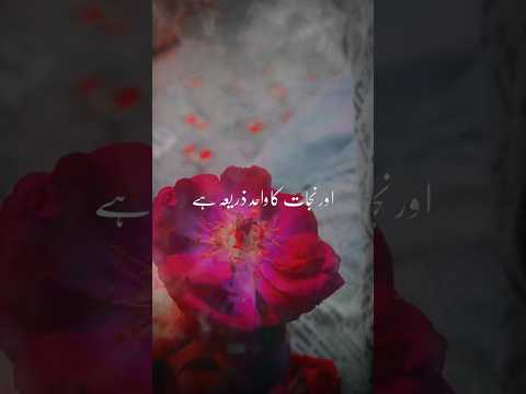 نجات کا واحد ذریعہ ہے