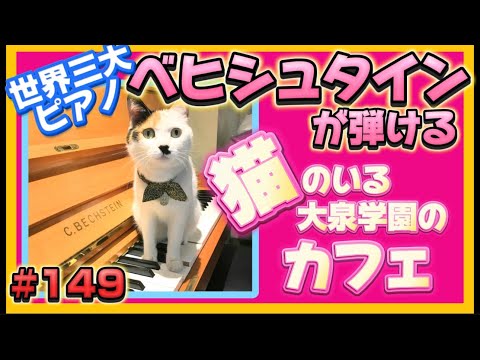 【世界３大ピアノによる演奏会も！】カフェモフリーその3　ロードふじみch#１４9