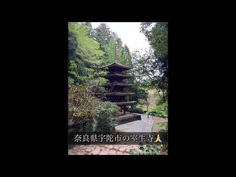 奈良県宇陀市の室生寺🙏