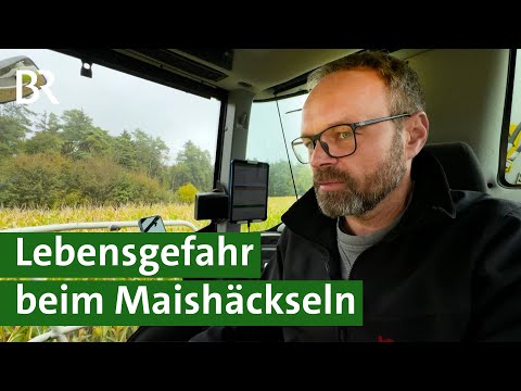 Gefährliche Maisernte: Was tun gegen Sabotage auf dem Acker? | Unser Land | BR