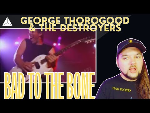 "Bad to the Bone" George Thorogood & The Destroyers LIVE (First Time Reaction)