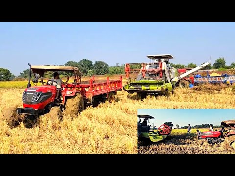 Solis 4515 4wd Stuck in Mud, Worst performance | Claas CT 40 rescue | Massey Ferguson 246 4wd |