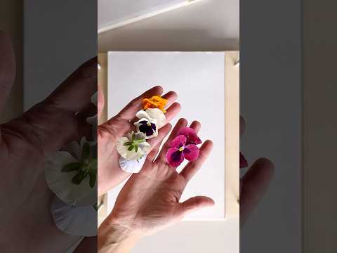 🌺 A DIY Flower Press in Minutes!