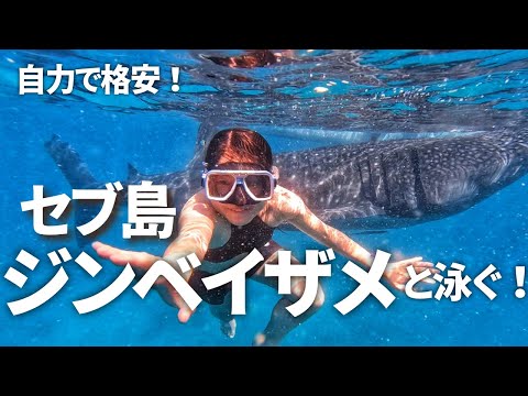 【セブ旅行】自力・格安で行ったオスロブが最高すぎた！！｜バスの乗り方