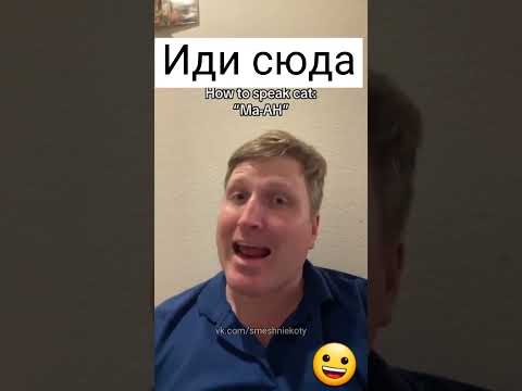 Мужик придумывает кошачий язык #кошачийязык