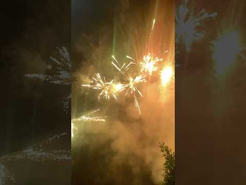 Diwali Fireworks 🎆 - Part 1 #diwali #fireworks #fyp