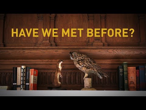 Tom Rosenthal - Have We Met Before? feat. Fenne Lily (Official Video)