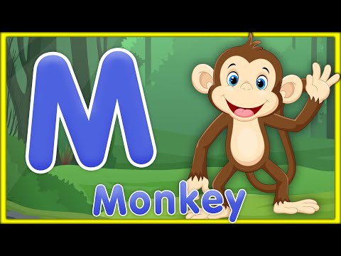 Letter M | Monkey, Map, Mouse, Moon - Learn Letter M