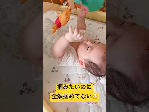 掴みたいのに掴めない #shorts #赤ちゃん #baby #メリー #プーさん