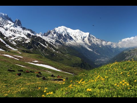 UTMB 2023: the first win of a male American, Jim Walmsley