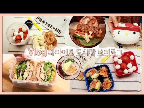 vlog] 다이어트 도시락 ❤️ 김밥이랑 샌드위치 좋아하는 자취생🥪 도시락 🍱